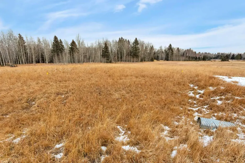 205 Fox Stone Place Rural Clearwater County AB T4T 2A4