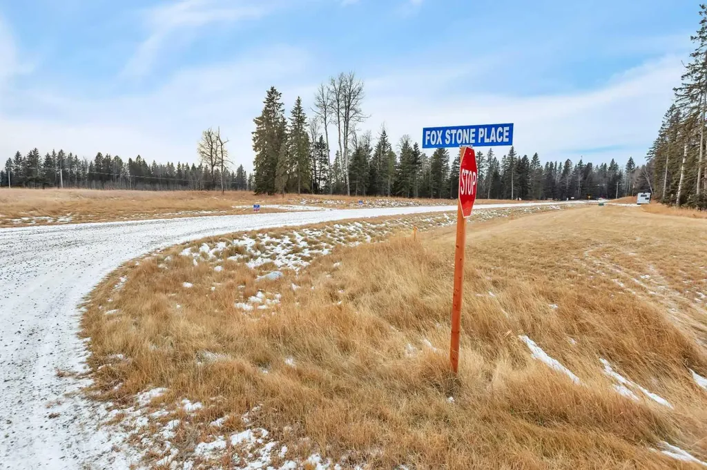 205 Fox Stone Place Rural Clearwater County AB T4T 2A4