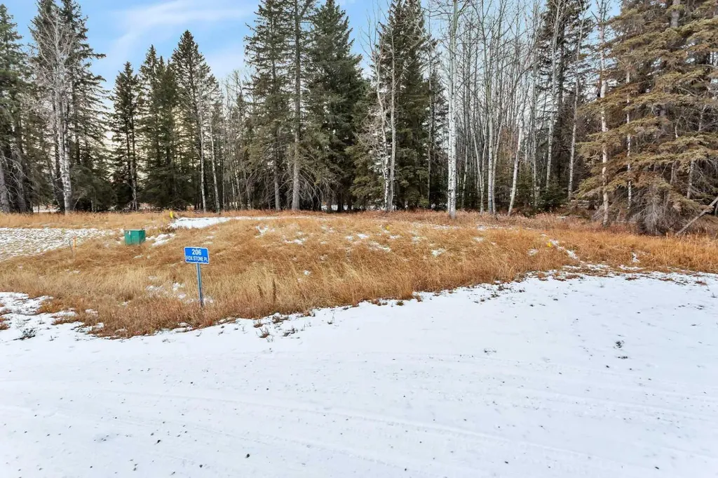 206 Fox Stone Place Rural Clearwater County AB T4T 2A4