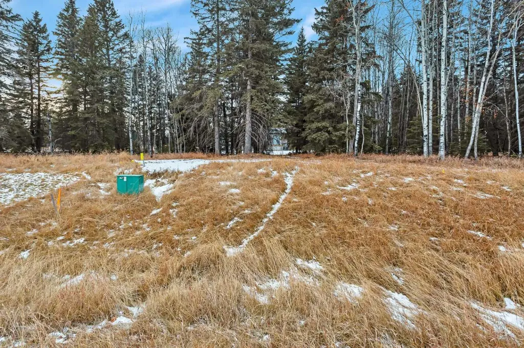 206 Fox Stone Place Rural Clearwater County AB T4T 2A4