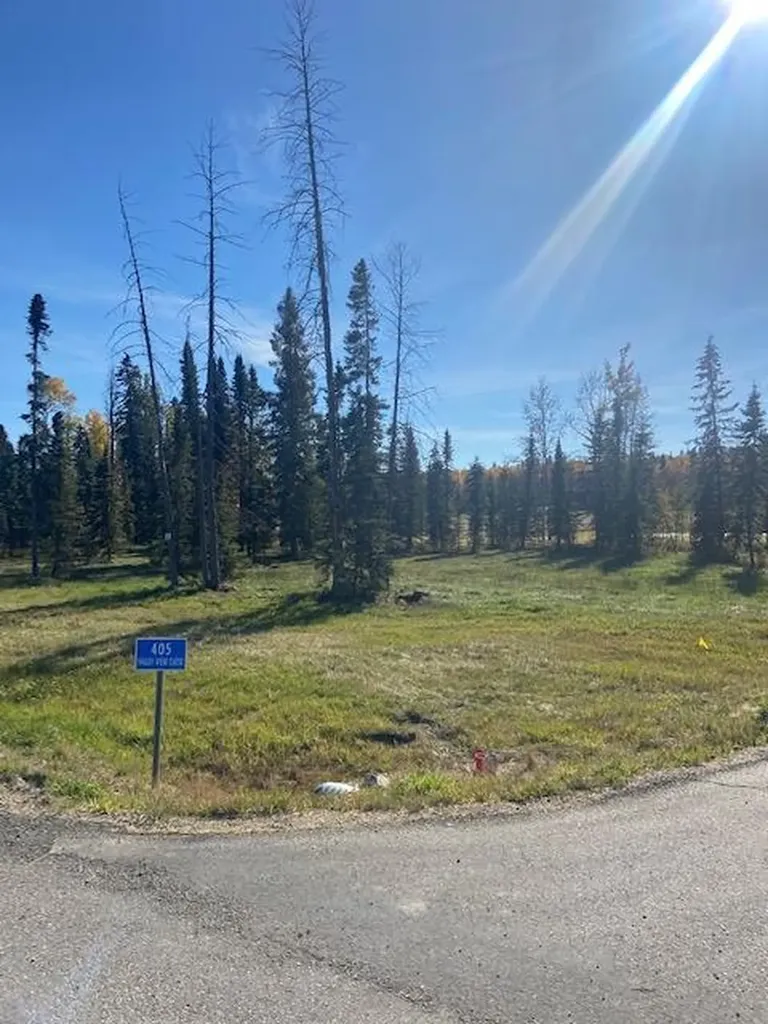 405 Valley View Close Rural Clearwater County AB T4T 2A2