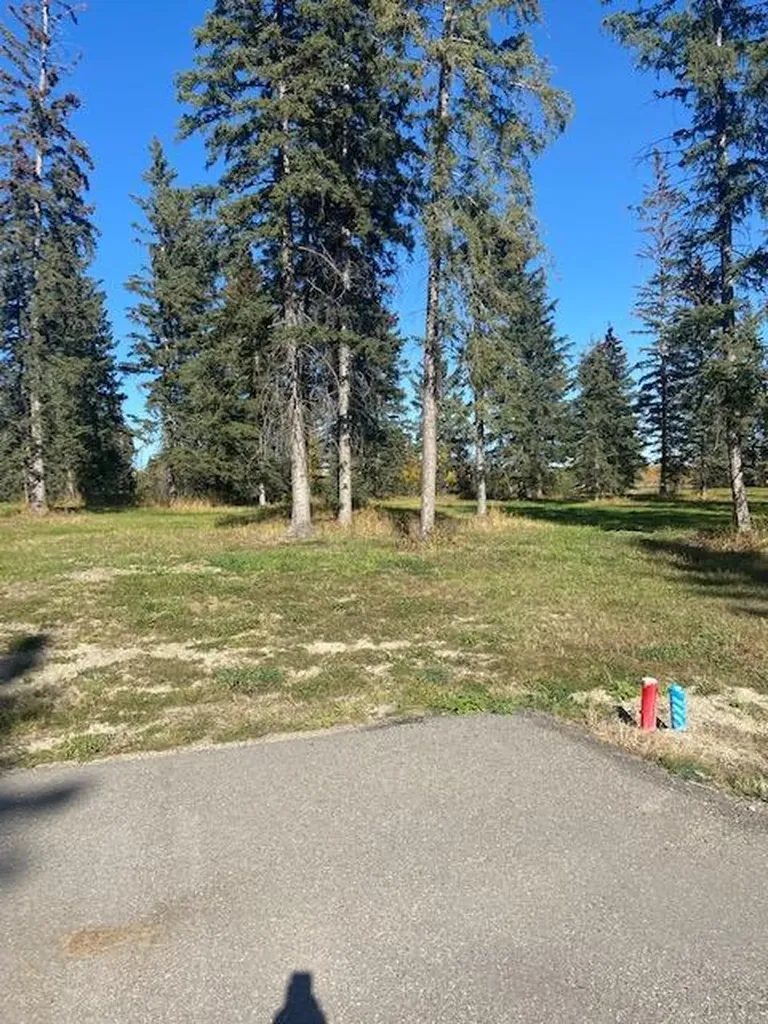 313 Valley View Drive Rural Clearwater County AB T4T 2A2