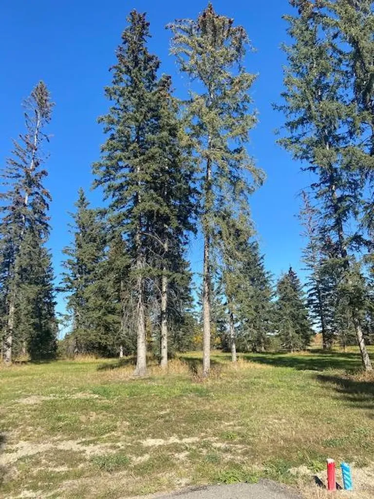 313 Valley View Drive Rural Clearwater County AB T4T 2A2