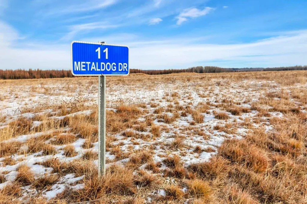 11 Metaldog Drive Rural Clearwater County AB T4T 2A2
