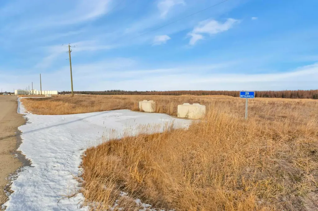 29 Metaldog Place Rural Clearwater County AB T4T 2A2