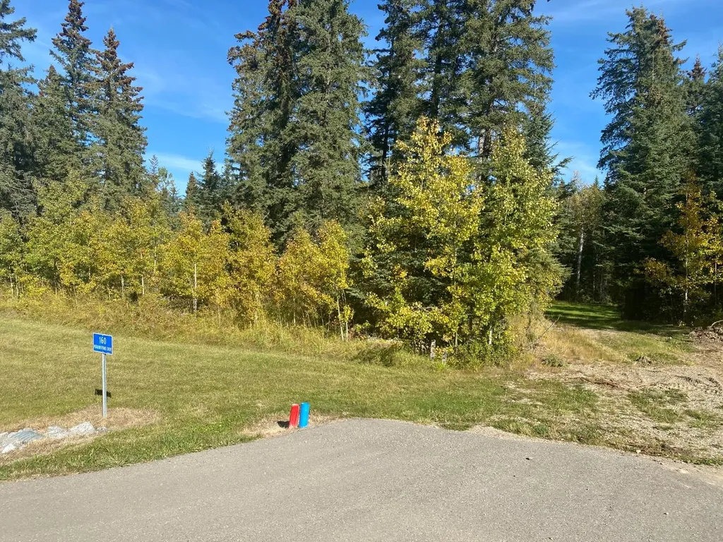 160 Meadow Ponds Drive Rural Clearwater County AB T4T 2A2