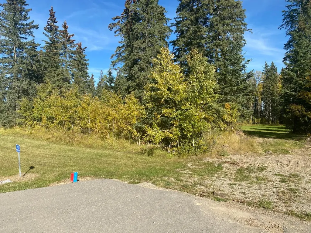 160 Meadow Ponds Drive Rural Clearwater County AB T4T 2A2