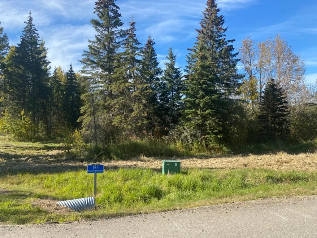 169 Meadow Ponds Drive Rural Clearwater County AB T4T 2A2