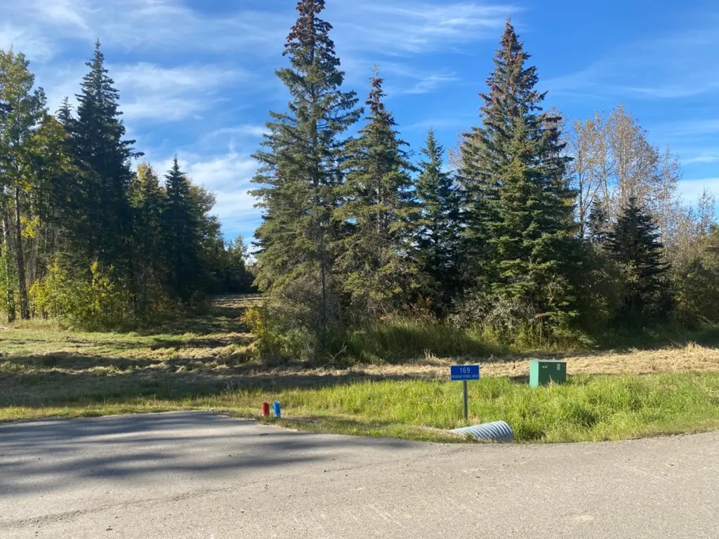 169 Meadow Ponds Drive Rural Clearwater County AB T4T 2A2