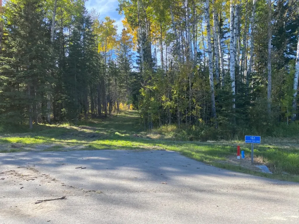 161 Meadow Ponds Drive Rural Clearwater County AB T4T 2A2