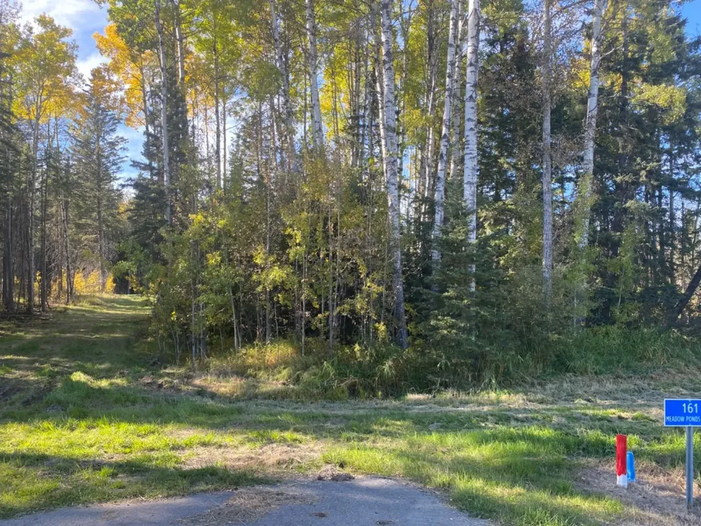 161 Meadow Ponds Drive Rural Clearwater County AB T4T 2A2