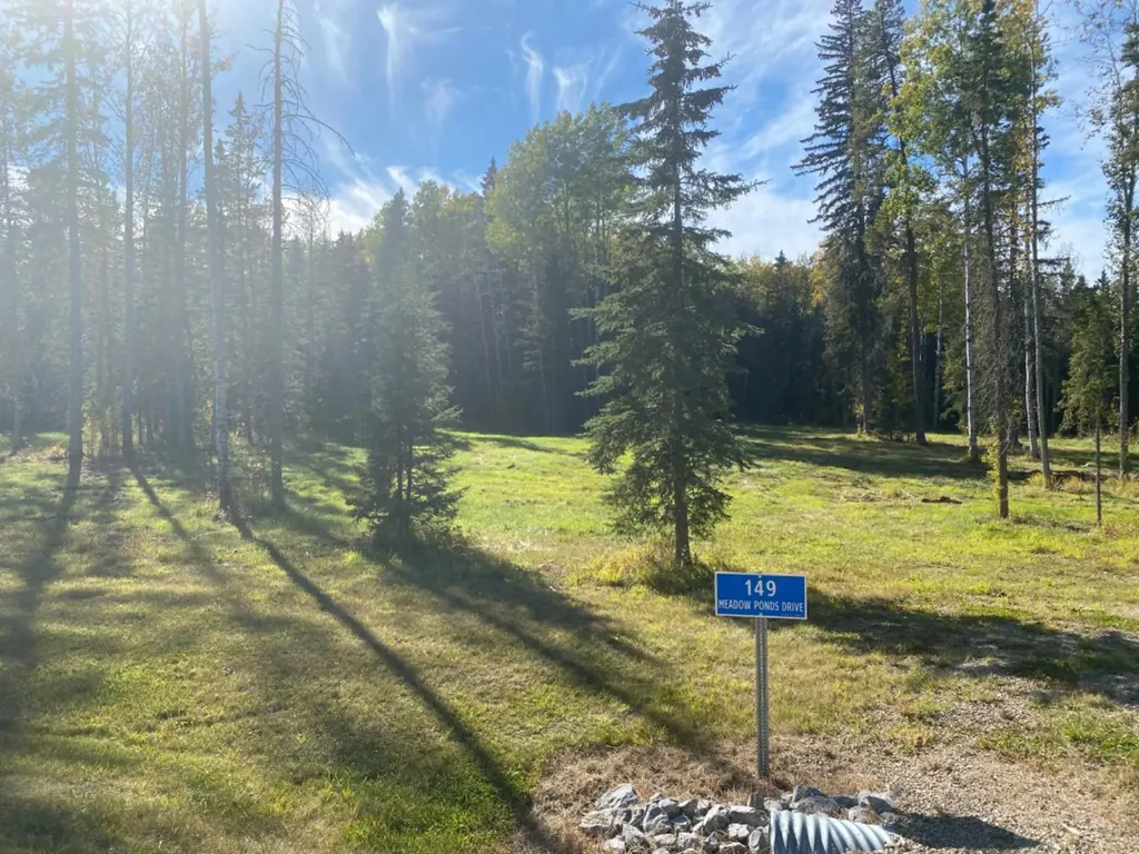 149 Meadow Ponds Drive Rural Clearwater County AB T4T 2A2
