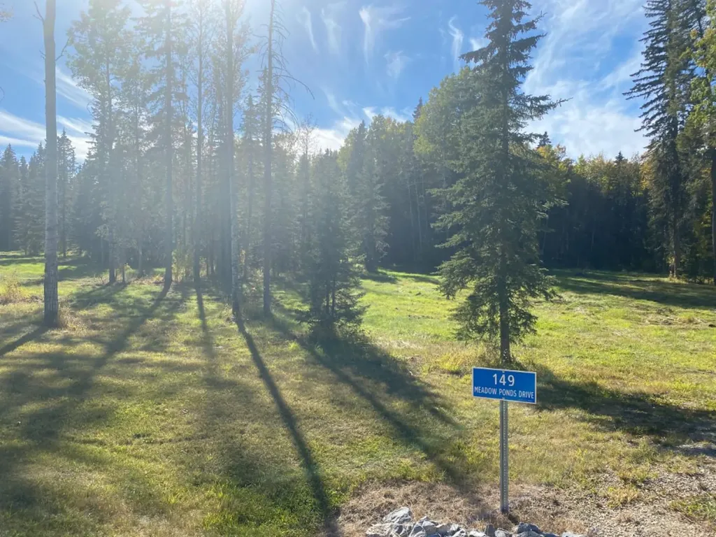 149 Meadow Ponds Drive Rural Clearwater County AB T4T 2A2