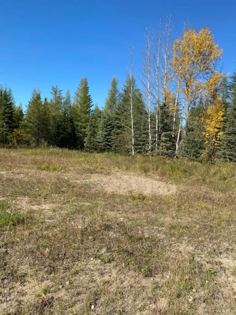 Lot 32 Flats Road Whitecourt AB T7S 0E5