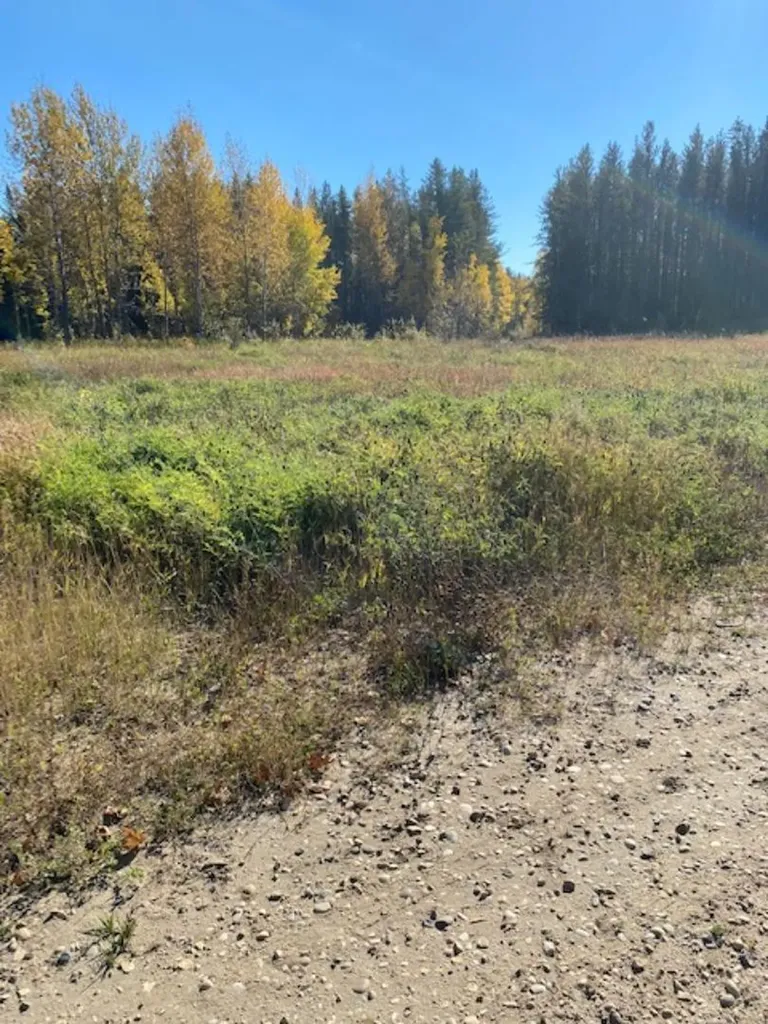 Lot 32 Flats Road Whitecourt AB T7S 0E5