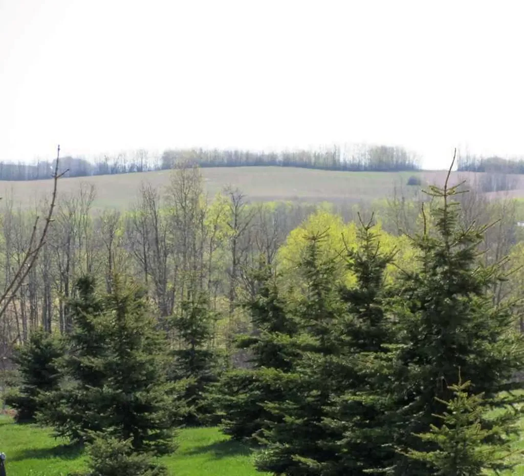 420054 Range Road 283 Rimbey AB T0C 2J0