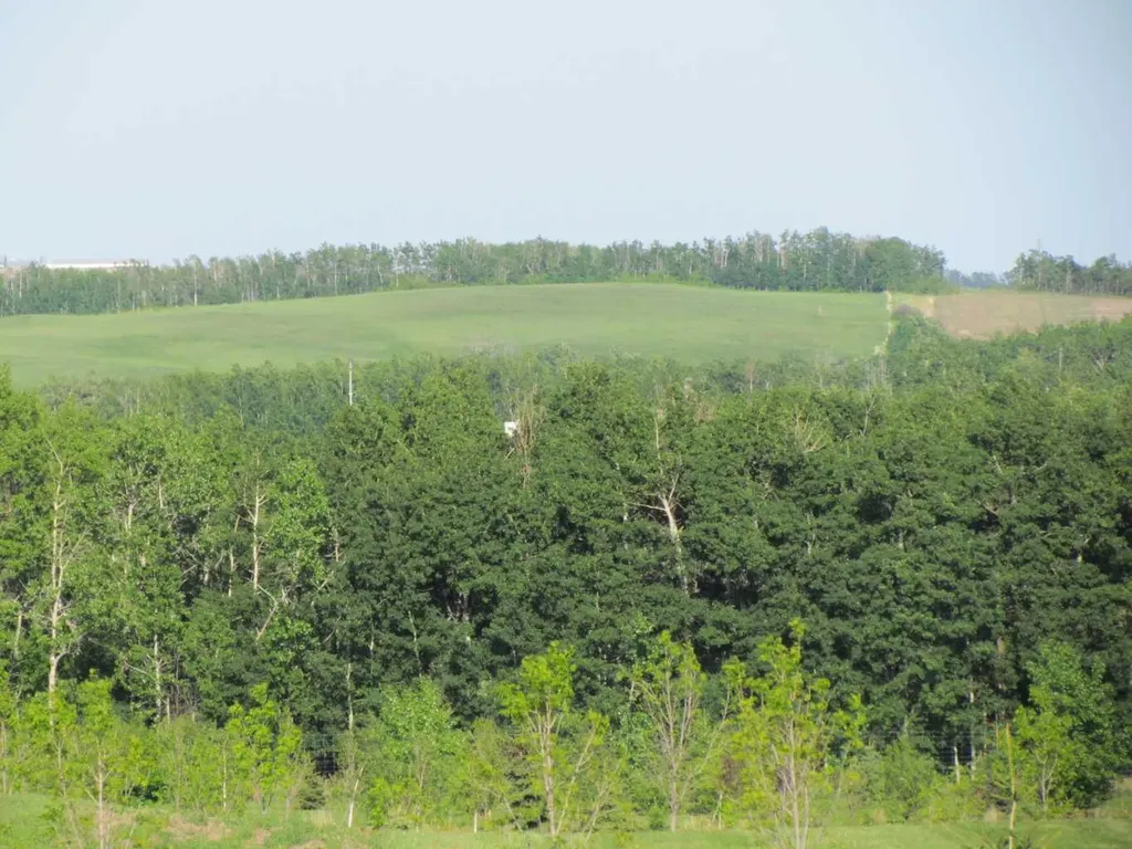 420054 Range Road 283 Rimbey AB T0C 2J0
