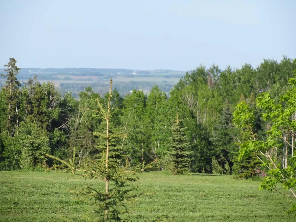 420054 Range Road 283 Rimbey AB T0C 2J0