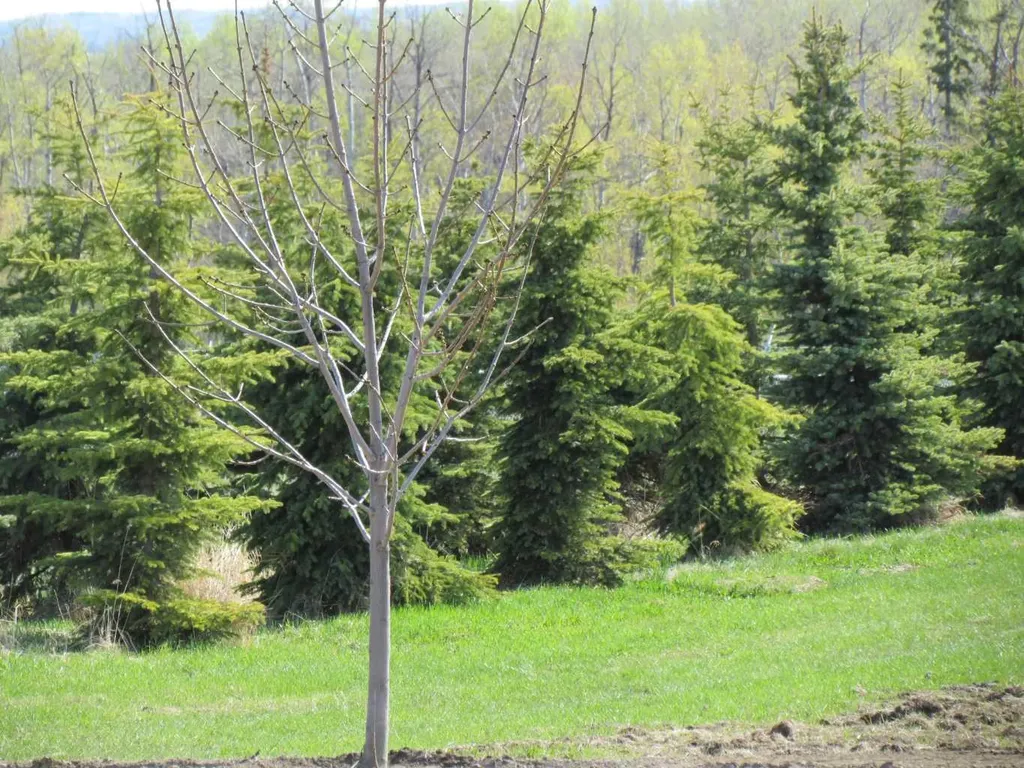 420054 Range Road 283 Rimbey AB T0C 2J0