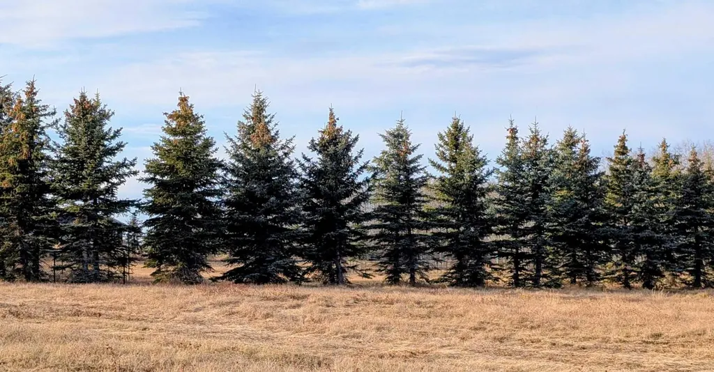 420054 Range Road 283 Rimbey AB T0C 2J0