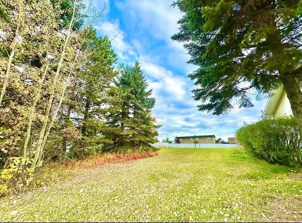 10316 103 Avenue Lac La Biche AB T0A 2C0