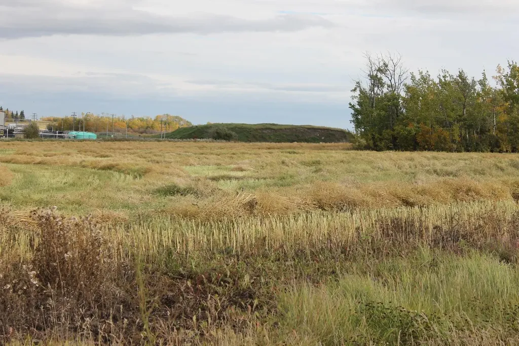 9300 101 Street Sexsmith AB T0H 3C0