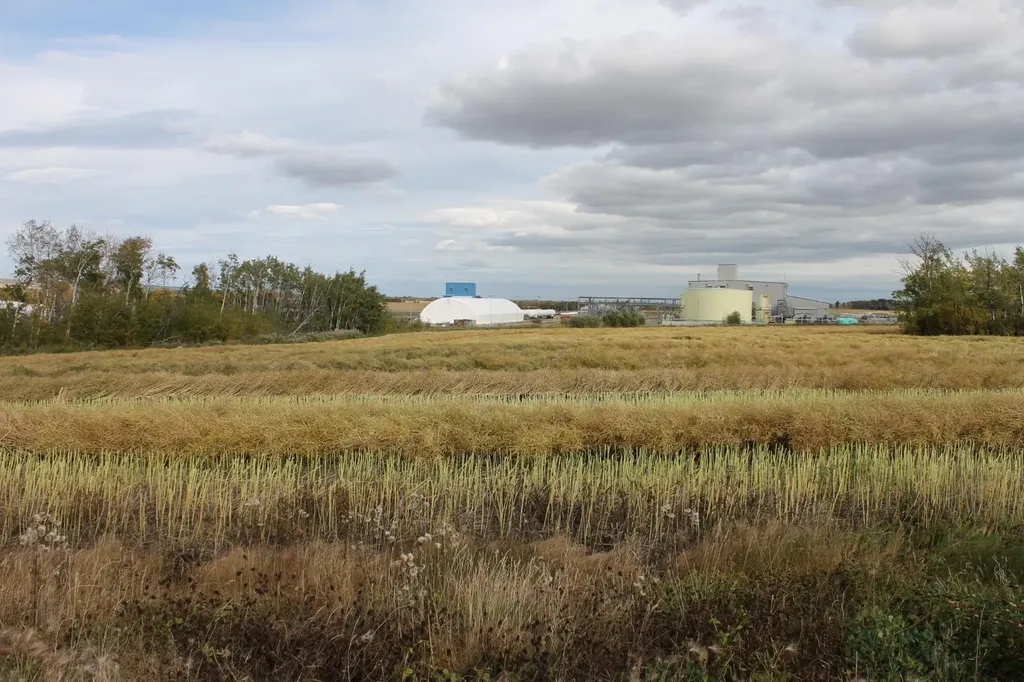 9300 101 Street Sexsmith AB T0H 3C0