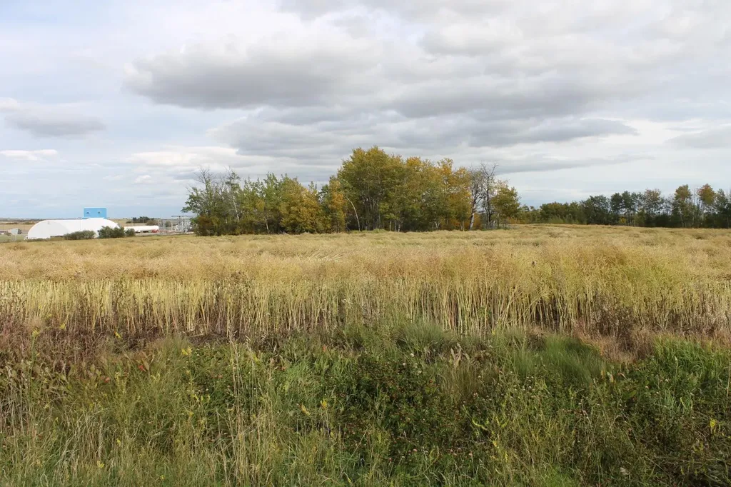9300 101 Street Sexsmith AB T0H 3C0