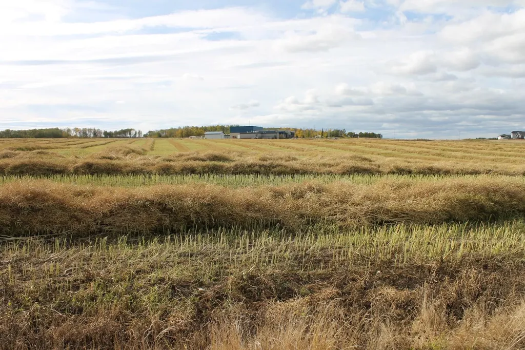 9300 101 Street Sexsmith AB T0H 3C0