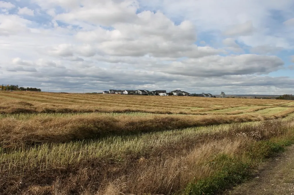 9300 101 Street Sexsmith AB T0H 3C0