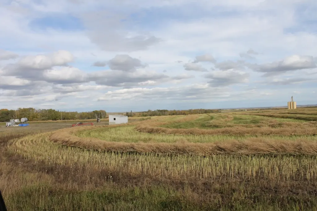 10400 85 Avenue Sexsmith AB T0H 3C0