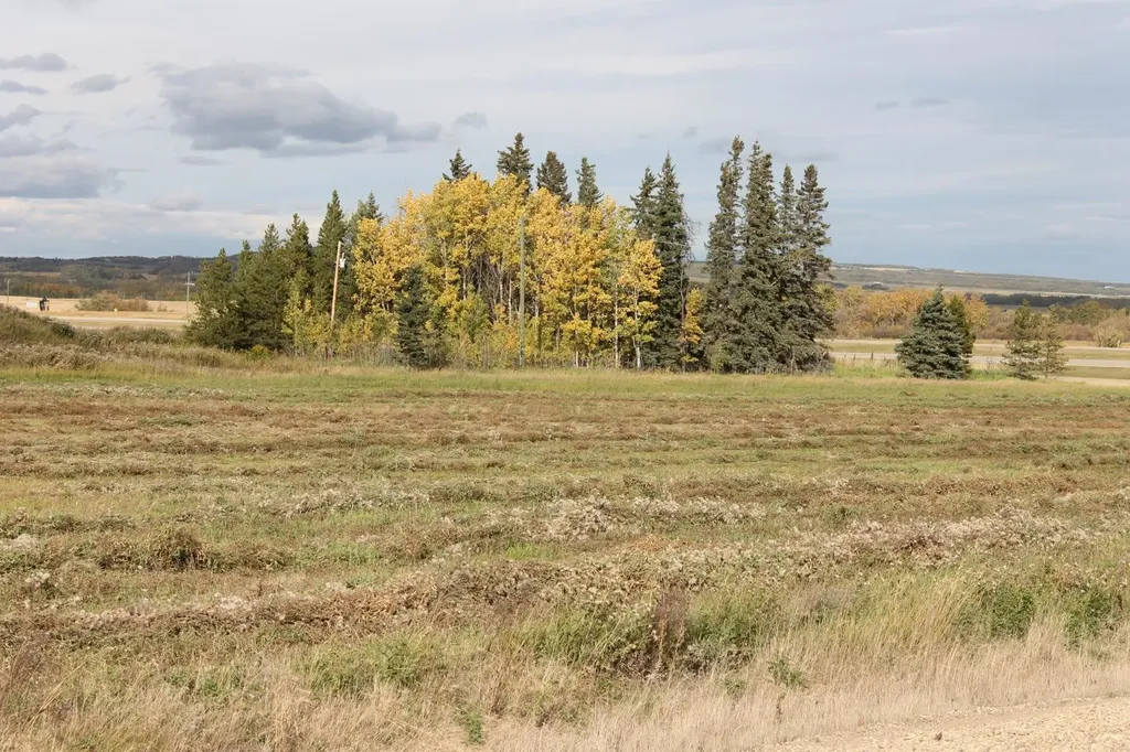 9001 90 Street Sexsmith AB T0H 3C0