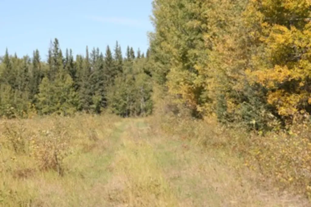 9660 88 Street High Level AB T0H 1Z0