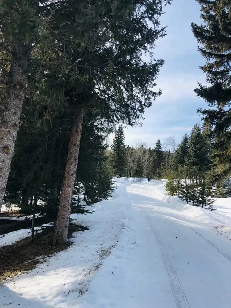 215 Wintergreen Road Rural Rocky View County AB T0L 0K0