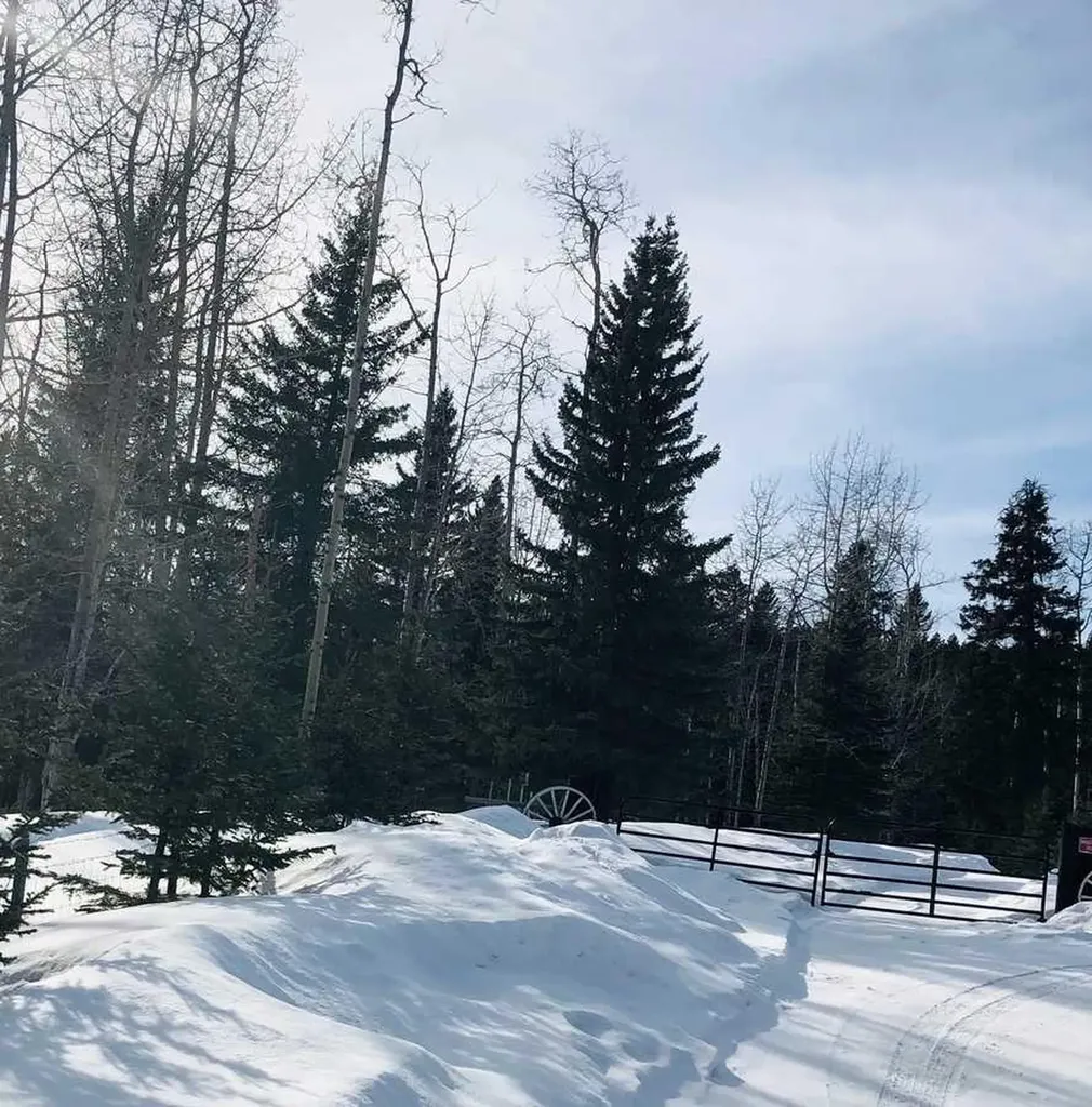 215 Wintergreen Road Rural Rocky View County AB T0L 0K0