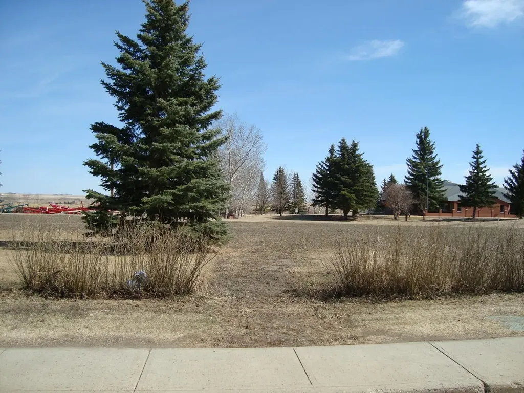 207,209 Main Street Trochu AB T0M 2C0