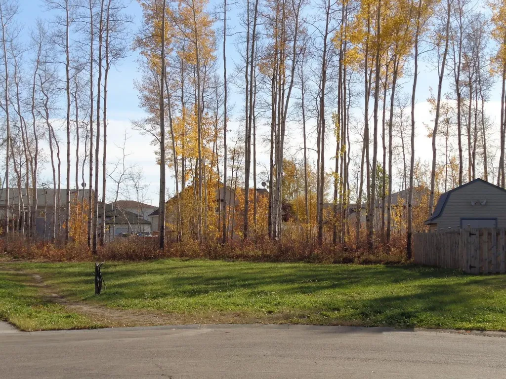 5 Birch Close High Level AB T0H 1Z0