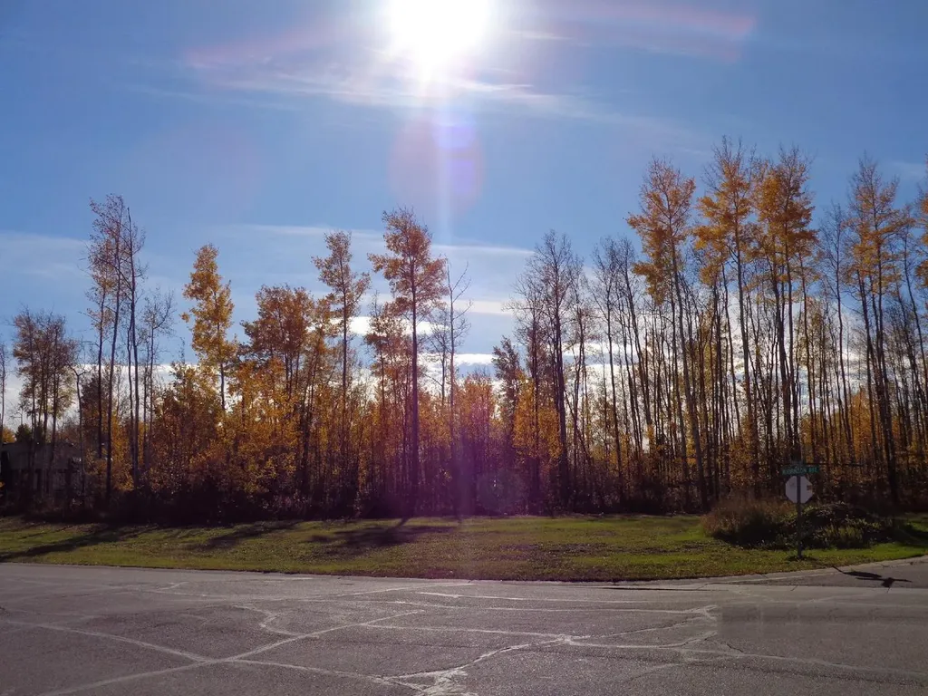 1 Boreal Crescent High Level AB T0H 1Z0