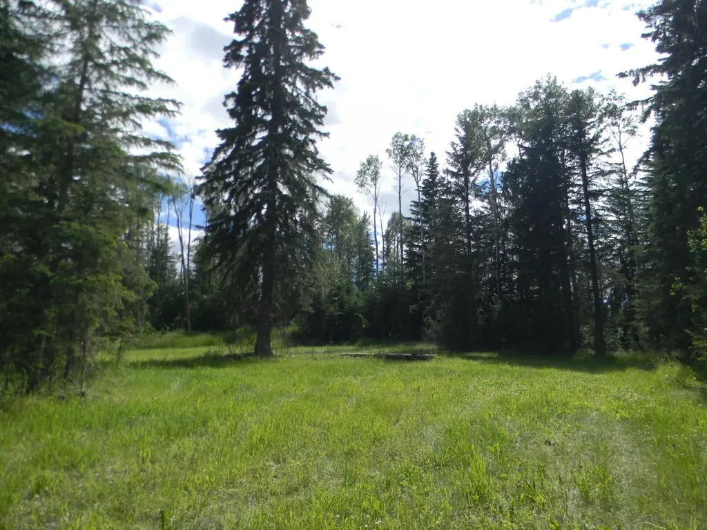 123 Meadow Ponds Drive Rural Clearwater County AB T4T 2A2