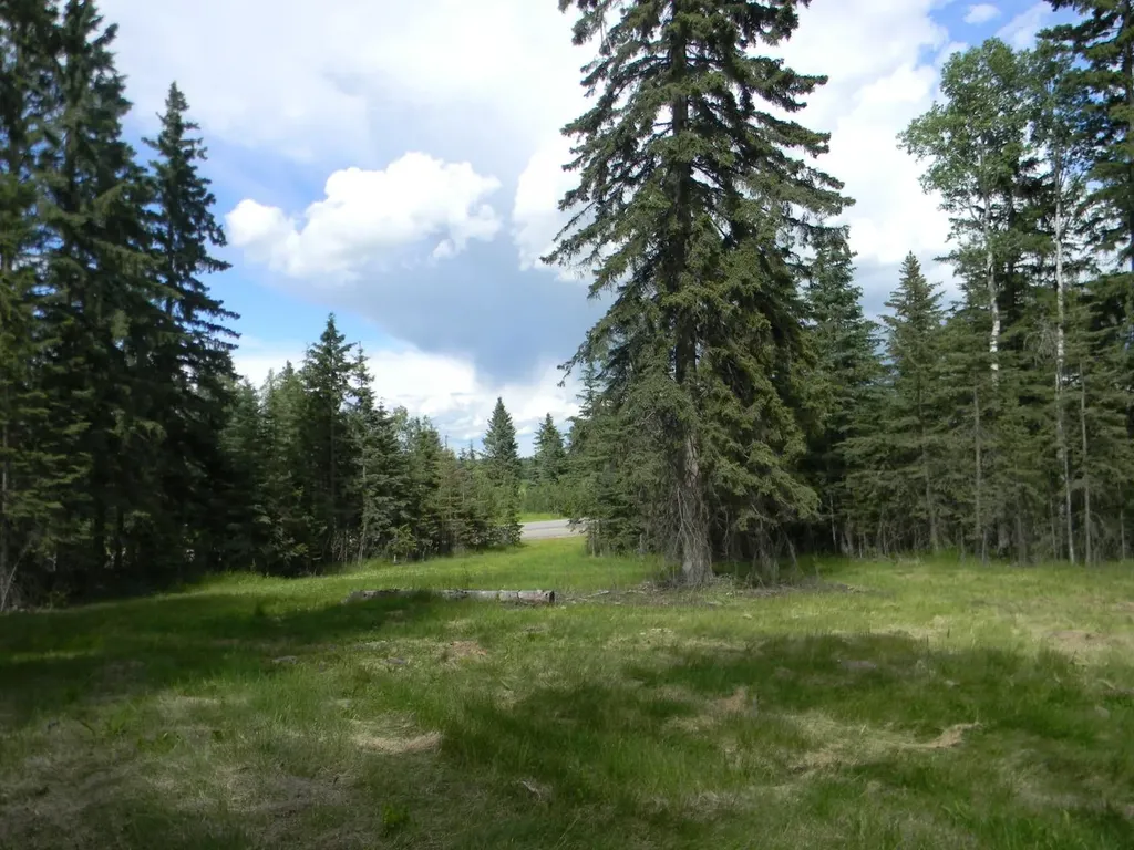 123 Meadow Ponds Drive Rural Clearwater County AB T4T 2A2