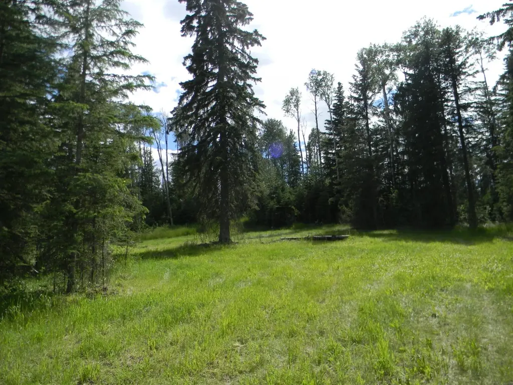 123 Meadow Ponds Drive Rural Clearwater County AB T4T 2A2