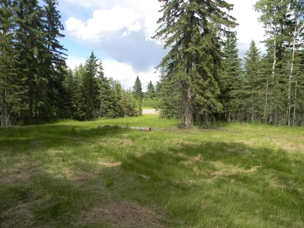 123 Meadow Ponds Drive Rural Clearwater County AB T4T 2A2