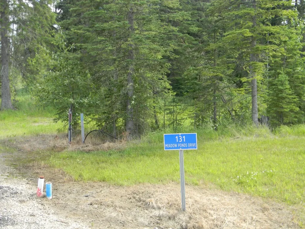 131 Meadow Ponds Drive Rural Clearwater County AB T4T 2A2