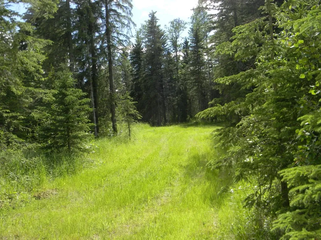 131 Meadow Ponds Drive Rural Clearwater County AB T4T 2A2
