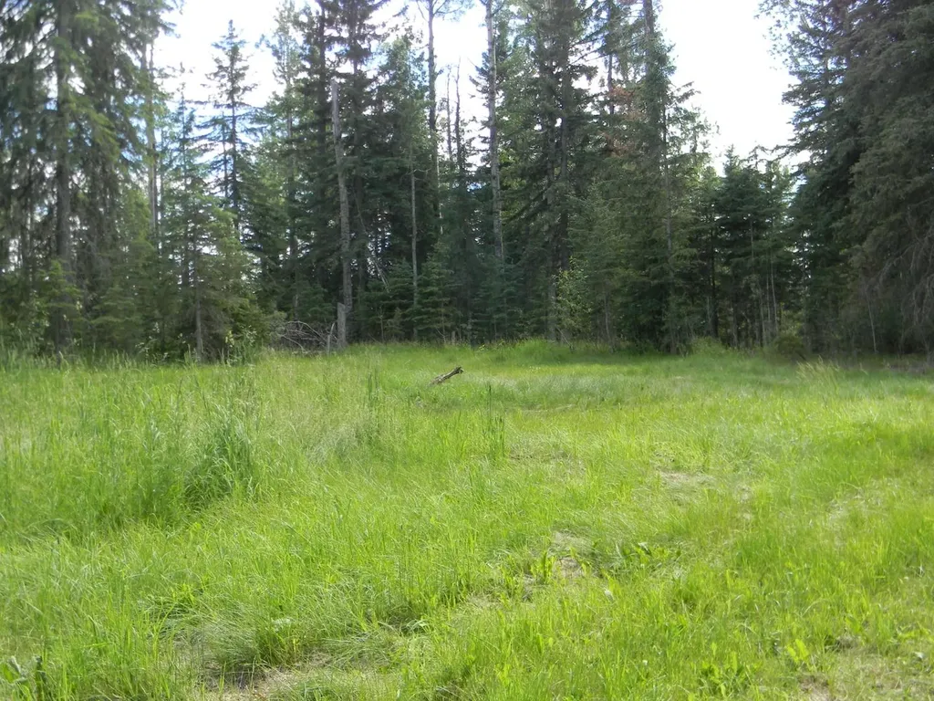 131 Meadow Ponds Drive Rural Clearwater County AB T4T 2A2