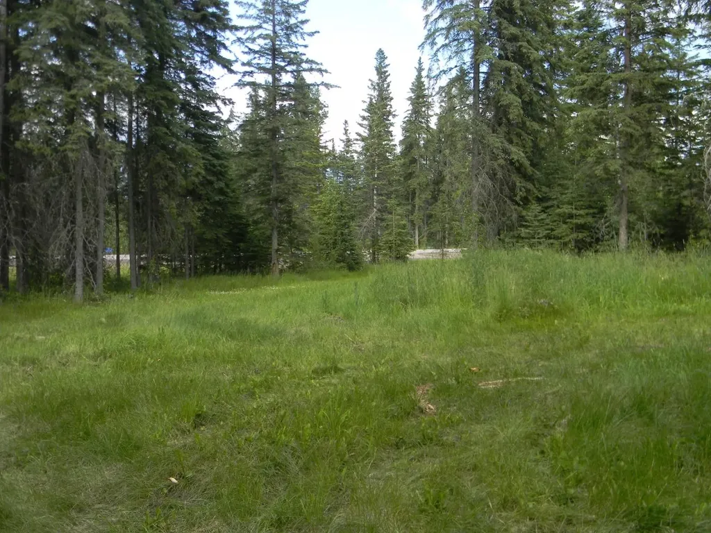 131 Meadow Ponds Drive Rural Clearwater County AB T4T 2A2