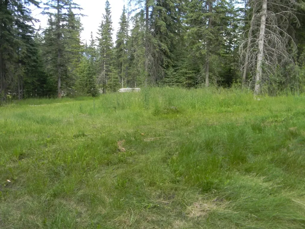131 Meadow Ponds Drive Rural Clearwater County AB T4T 2A2
