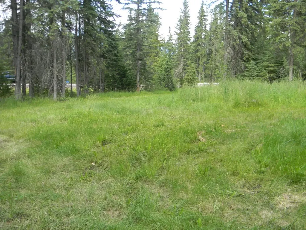 131 Meadow Ponds Drive Rural Clearwater County AB T4T 2A2
