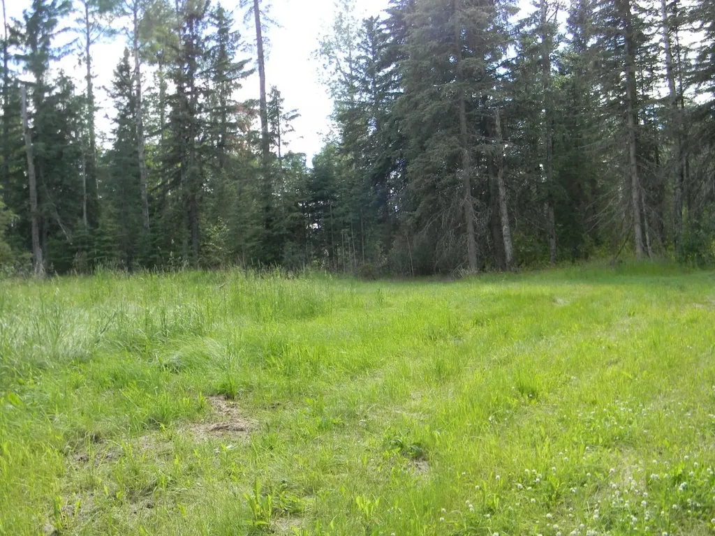 131 Meadow Ponds Drive Rural Clearwater County AB T4T 2A2