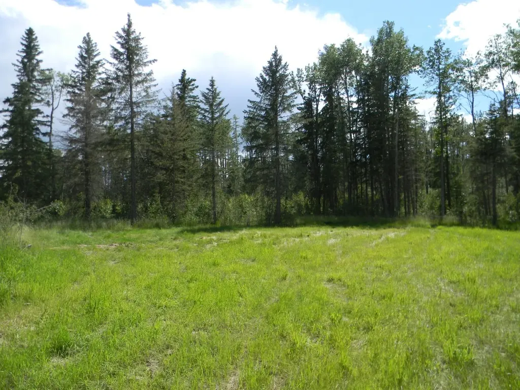 115 Meadow Ponds Drive Rural Clearwater County AB T4T 1A7